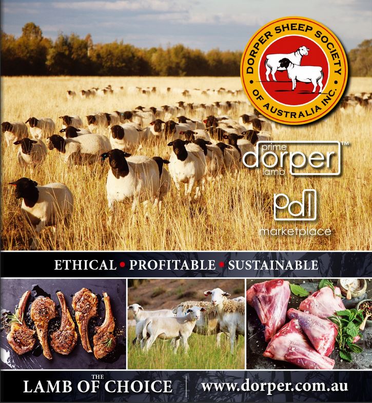 Dorper Sheep Society of Australia Magazine