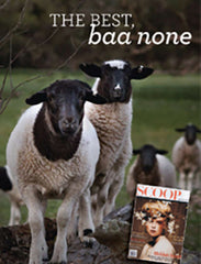 'The Best Baa None'