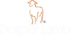 Dorper Lamb